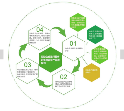 碳資產管理的定義及籌建碳資產管理公司的策略
